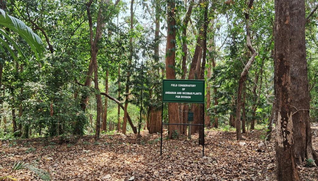 Jawaharlal Nehru Tropical Botanic Garden and Research Institute, Thiruvananthapuram, Kerala, India
